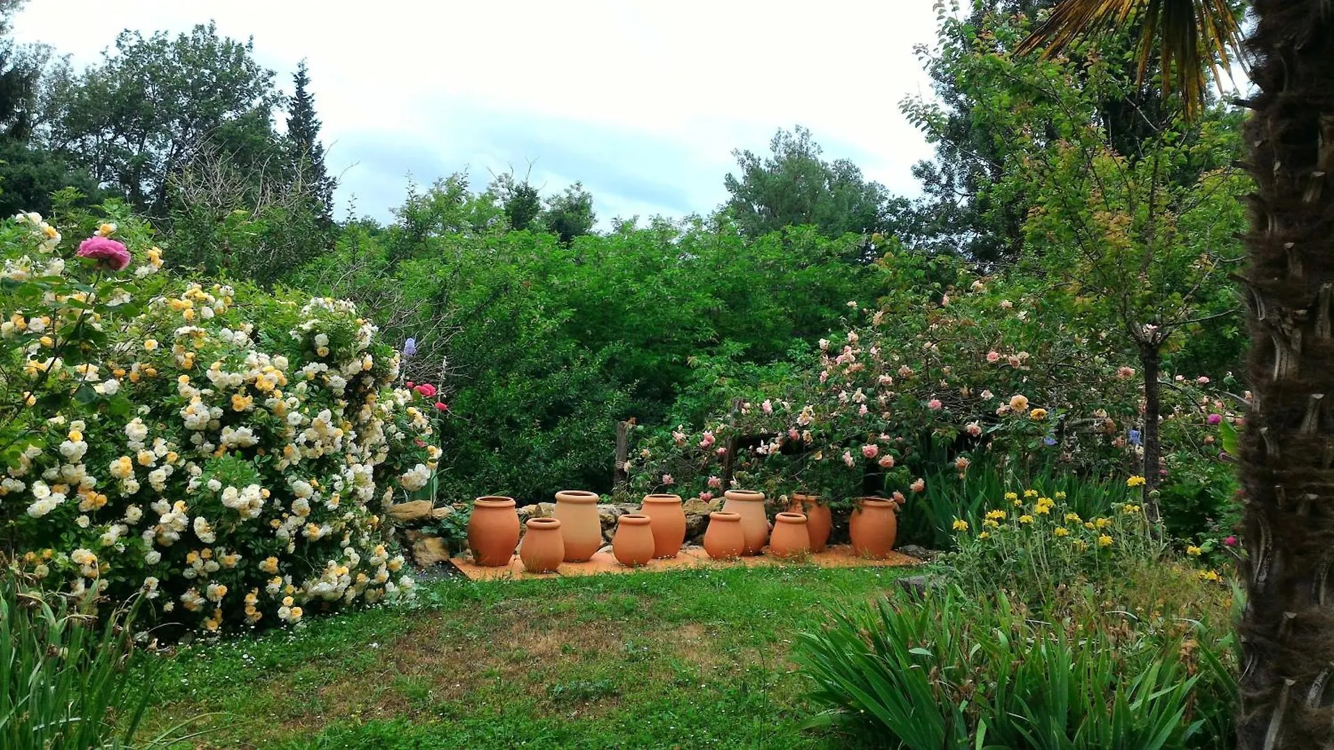 Bed and Breakfast Plumes D'Art Cerizols